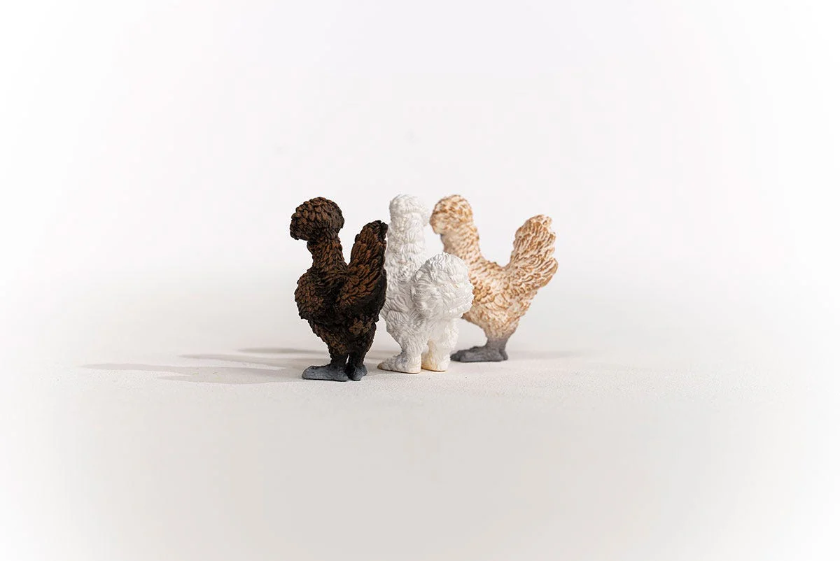 Gallinitas - Image 11