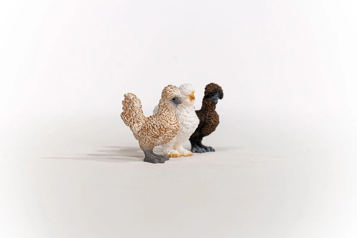 Gallinitas - Image 12