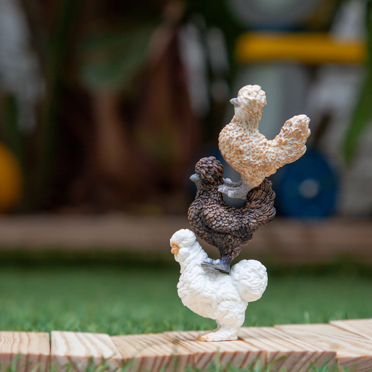 Gallinitas - Image 4