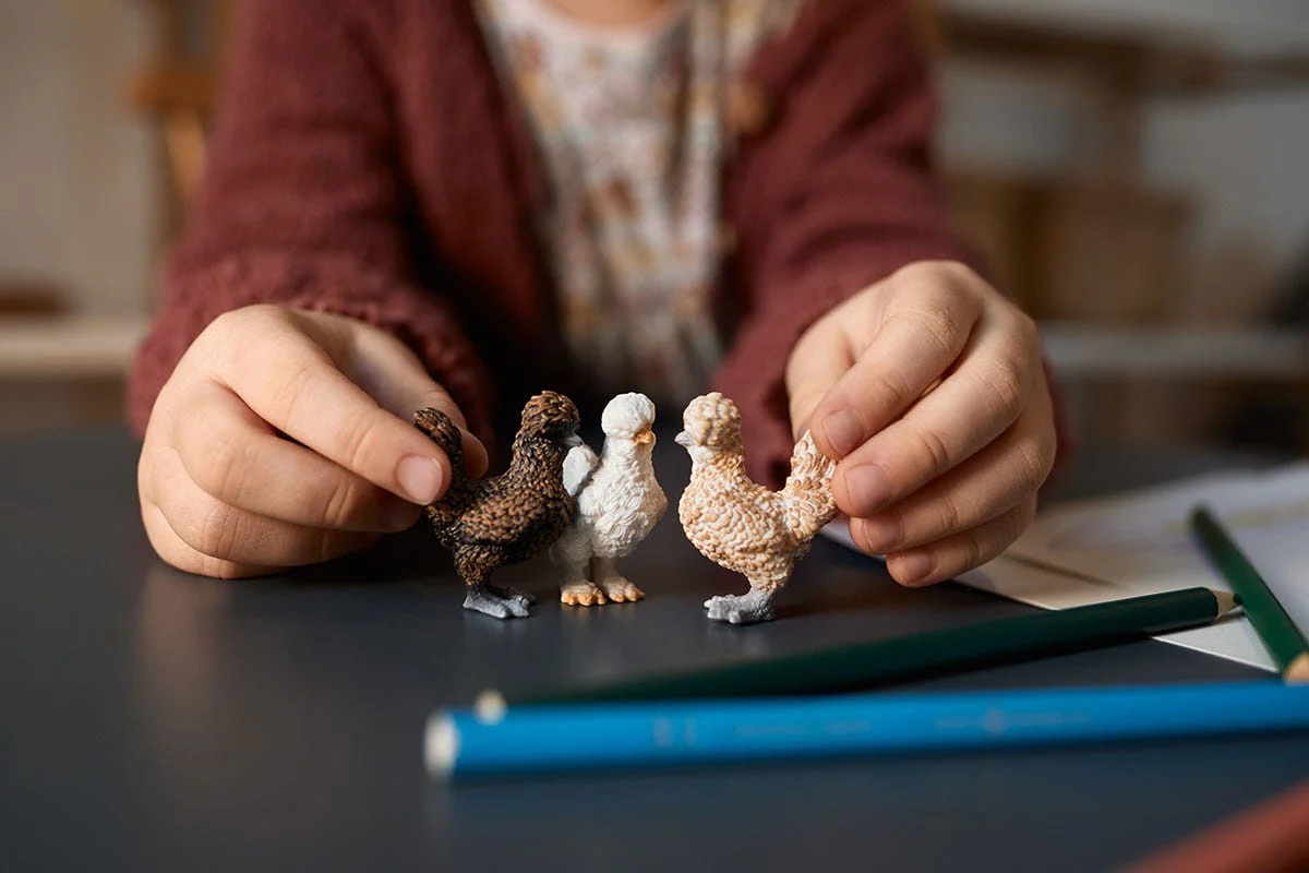 Gallinitas - Image 7