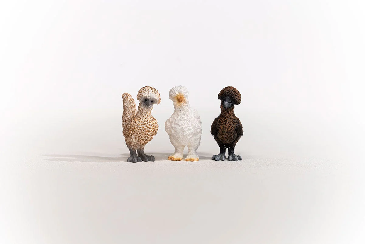 Gallinitas - Image 9