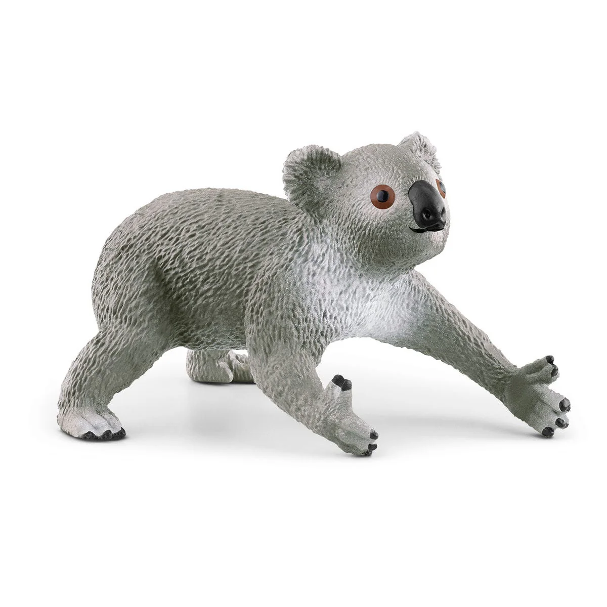 Koala con cría - Image 11