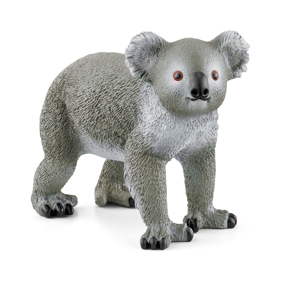Koala con cría - Image 12