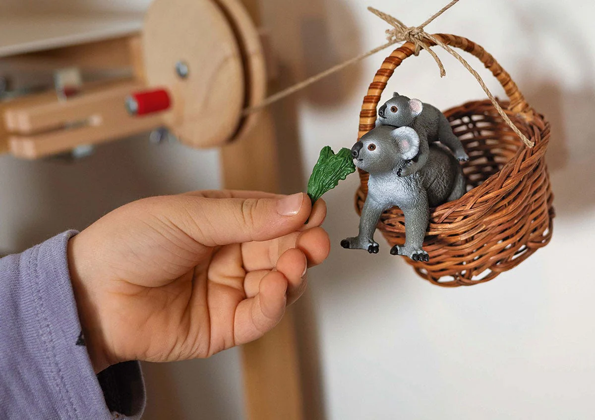 Koala con cría - Image 4