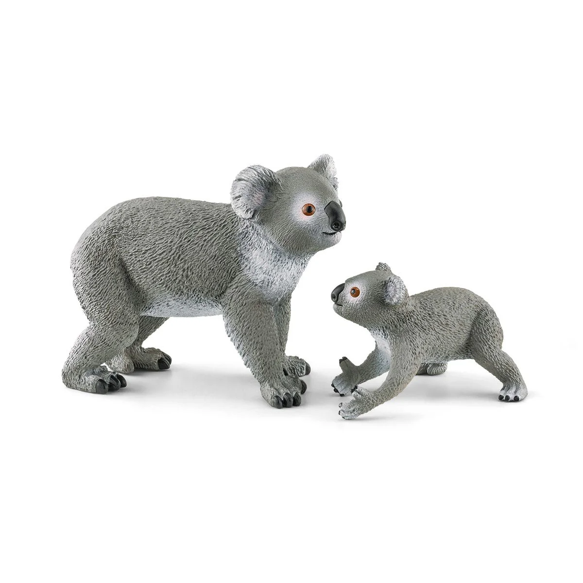 Koala con cría - Image 6