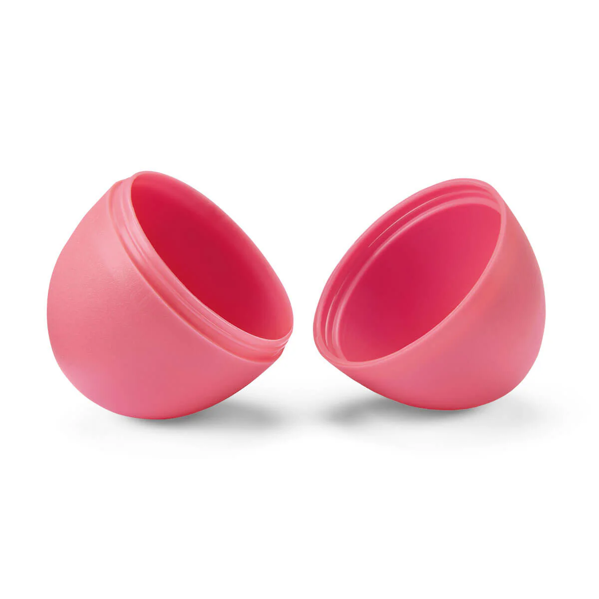 Pequeñas lechuzas salen del huevo - Image 6